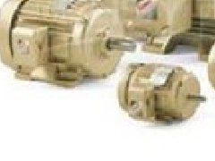 美國(guó)C.E. Niehoff無刷發(fā)電機(jī)