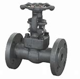 德國Integral止回閥