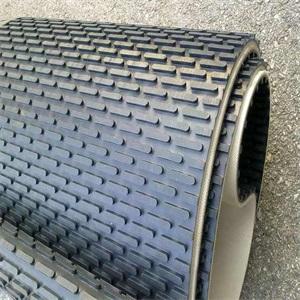 美國(guó)Carlen分解器