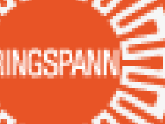 德國(guó)RINGSPANN軸承